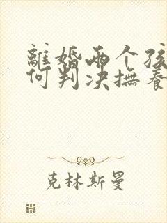 离婚两个孩子如何判决抚养权