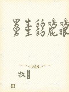 男生的鸡鸡插进男生的屁眼里