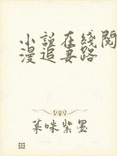 小说在线阅读漫漫追妻路