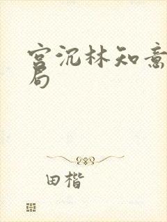 宫沉林知意大结局