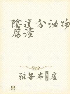 阴道分泌物向豆腐渣封面