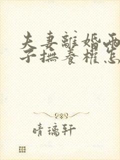 夫妻离婚两个孩子抚养权怎么判定封面