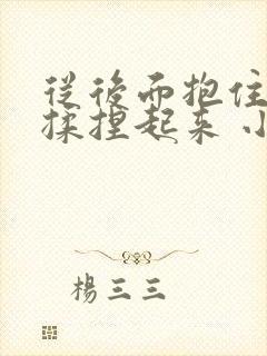 从后面抱住双乳揉捏起来 小说