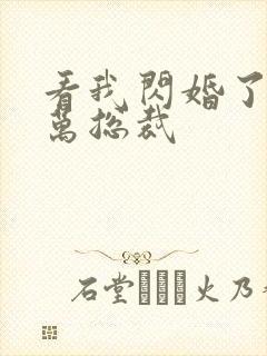 看我闪婚了个亿万总裁封面