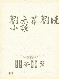 刘亦菲刘晓莉双小说