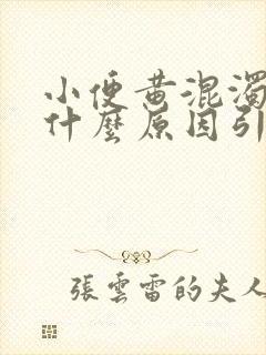 小便黄混浊男性什么原因引起的