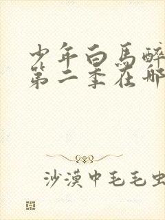 少年白马醉春风第二季在哪看