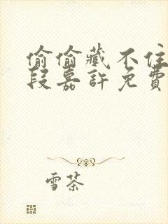 偷偷藏不住桑稚段嘉许免费阅读封面