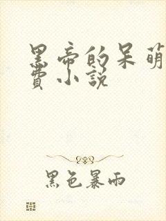 黑帝的呆萌妻免费小说封面