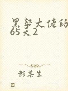 黑帮大佬的第365天2