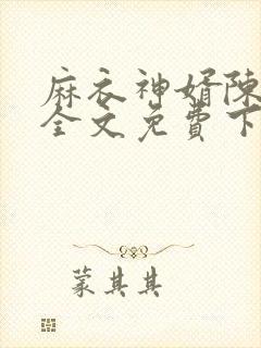 麻衣神婿陈黄皮全文免费下载