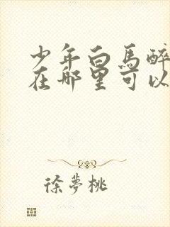 少年白马醉春风在哪里可以免费看封面