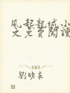 风起龙城小说全文免费阅读完整版封面