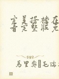 完美搭档在线观看完整版免费高清