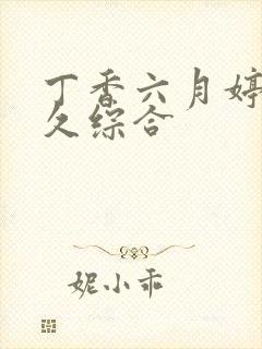 丁香六月婷婷久久综合封面