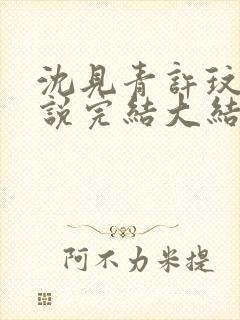 沈见青许玟玟小说完结大结局