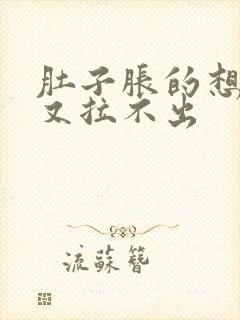 肚子胀的想拉屎又拉不出