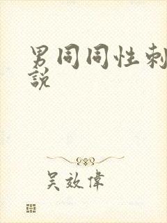 男同同性刺激小说