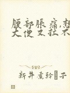 腹部胀痛,想拉大便又拉不出来是什么原因