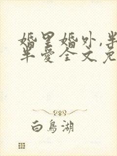 婚里婚外,半欢半爱全文免费阅读