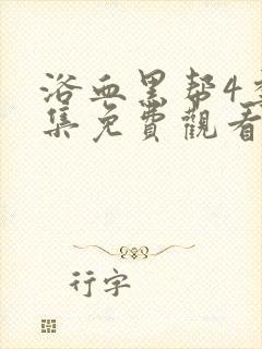 浴血黑帮4季全集免费观看