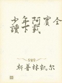 少年阿宾全文阅读下载