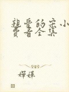 亲爱的宋小姐免费看全集封面