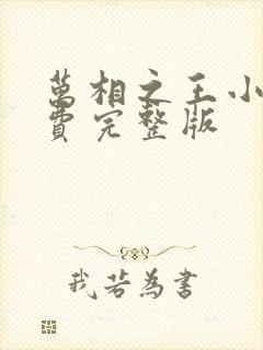 万相之王小说免费完整版