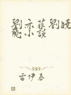 刘亦菲刘晓莉双飞小说封面