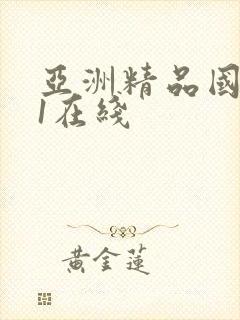 亚洲精品国产91在线