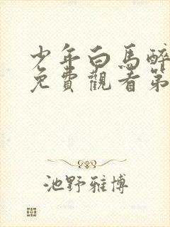 少年白马醉春风免费观看第18集