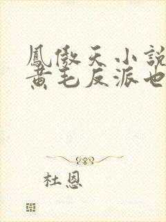 凤傲天小说里的黄毛反派也想要幸福小说