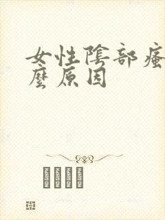 女性阴部瘙痒什么原因