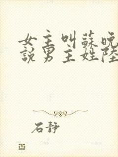 女主叫苏晚的小说男主姓陆