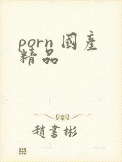 porn 国产精品