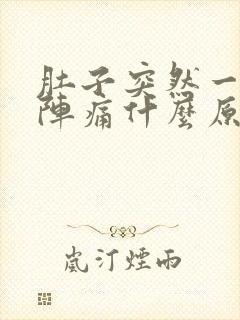 肚子突然一阵一阵痛什么原因