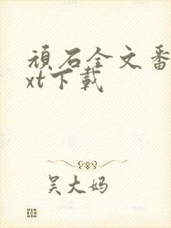 顽石全文番外txt下载