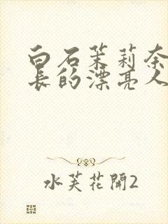 白石茉莉奈被部长的漂亮人妻