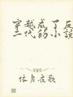 穿越成了反派富二代的小说叶枫