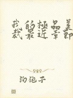 我的极品美女总裁最近章节