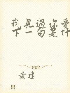 我见过你爱我的下一句是什么