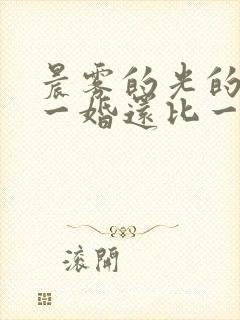 晨雾的光的小说一婚还比一婚高