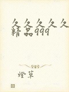 久久久久久国产精品999