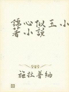 锦心似玉小说原著小说封面