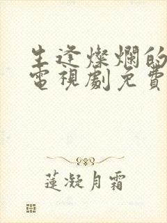 生逢灿烂的日子电视剧免费