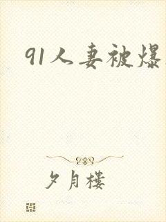 91人妻被爆操