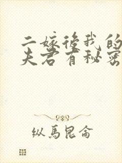 二嫁后我的新任夫君有秘密