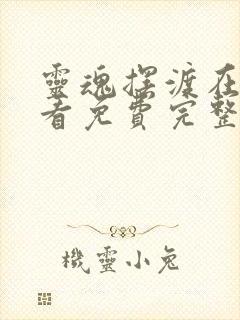 灵魂摆渡在线观看免费完整版