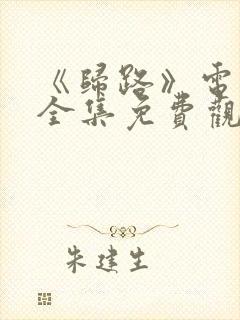 《归路》电视剧全集免费观看高清