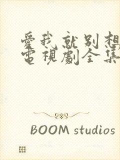 爱我就别想太多电视剧全集免费看封面